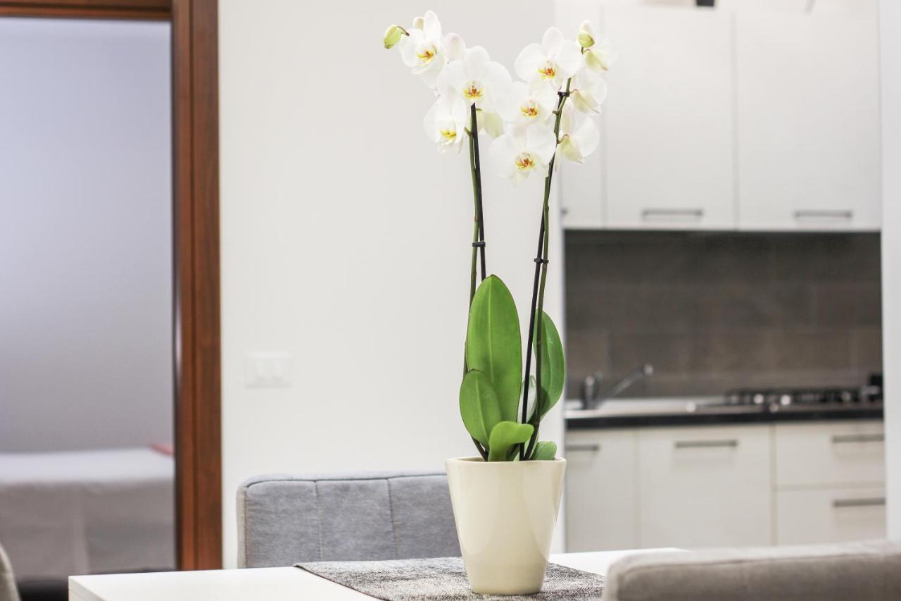Apartment Al Maso In Centro